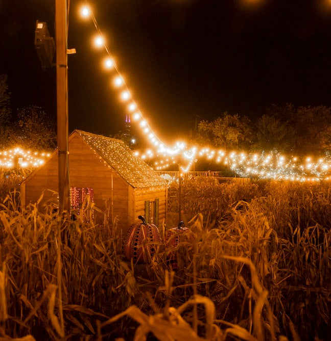 Fall Outdoor Lighting: Enhancing Your Space with Solderin'